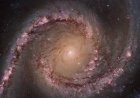 Black Holes Raze Thousands of Stars to Fuel Growth