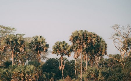 Park Rangers Are Using Silent Ebikes to Catch Poachers