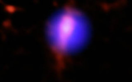 NASA Telescopes Capture Stellar Delivery Service for Black Hole