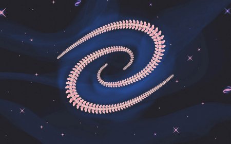 The Enigma of Dragonfly 44, the Galaxy That’s Almost Invisible