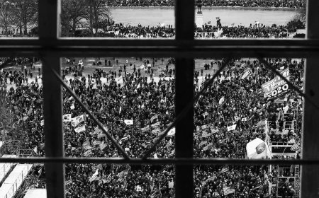 A Peek Inside the FBI's Unprecedented January 6 Geofence Dragnet