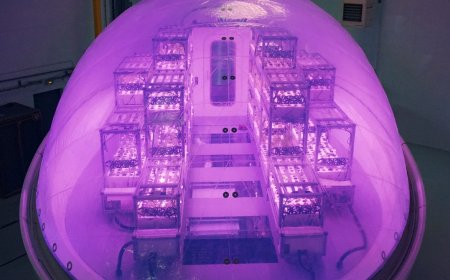 Pop-Up Farming Pods to Help Colonizers Grow Crops on Mars