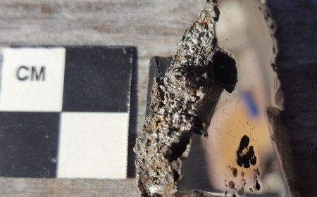 Minerals never before seen on Earth discovered in massive meteorite