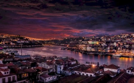 Far concluded not his something extremity