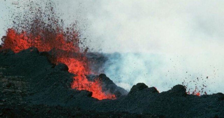 Hawaii's Mauna Loa, the world's largest active volcano, erupts