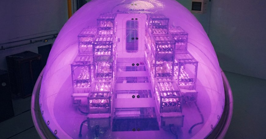 Pop-Up Farming Pods to Help Colonizers Grow Crops on Mars