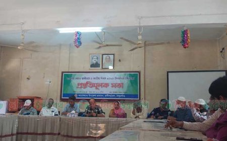 রানীশংকৈলে বঙ্গবন্ধুর জন্মবার্ষিকী ও স্বাধীনতা দিবস উদযাপনের প্রস্তুতি সভা