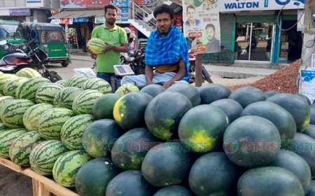 নন্দীগ্রামে বাজারে উঠেছে তরমুজ, চড়ামূল্যে ক্রেতাদের অসন্তোষ