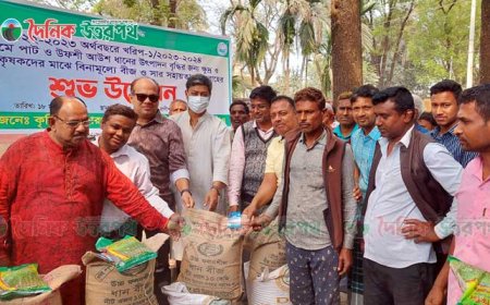 রাণীশংকৈলের কৃষক বিনামূল্যে পাচ্ছে সার, উফশী ধানের বীজ ও পাট বীজ