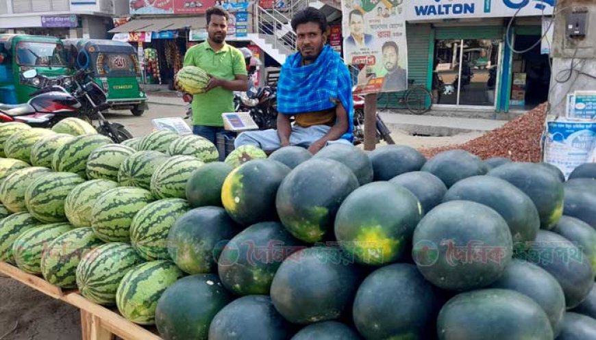 নন্দীগ্রামে বাজারে উঠেছে তরমুজ, চড়ামূল্যে ক্রেতাদের অসন্তোষ