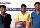 রাণীশংকৈলে গাঁজাসহ আটক ৩