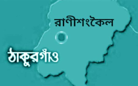 রাণীশংকৈলে ট্রাকের ধাক্কায় বাইসাইকেল আরোহীর নিহত