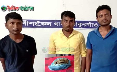 রাণীশংকৈলে গাঁজাসহ আটক ৩