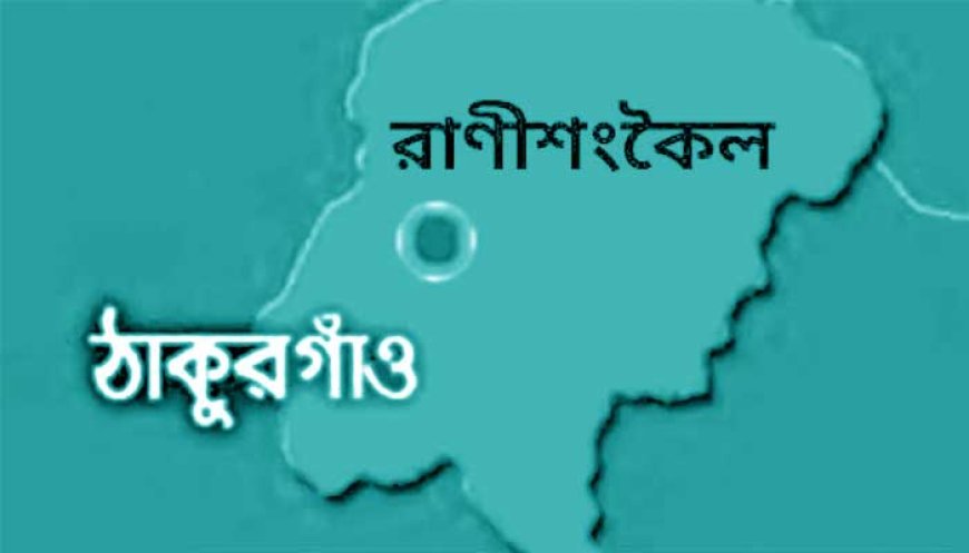 রাণীশংকৈলে ট্রাকের ধাক্কায় বাইসাইকেল আরোহীর নিহত