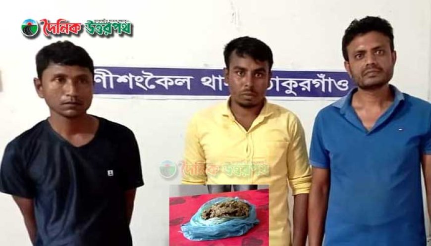 রাণীশংকৈলে গাঁজাসহ আটক ৩