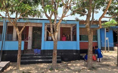 নন্দীগ্রামে ৮৭ লাখ টাকা ব্যয়ে চলছে ১৪টি প্রাথমিক বিদ্যালয় মেরামত কাজ