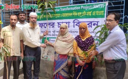 'উদ্দীপন আরএমটিপি' প্রকল্পের আওতায় ২৫০ কৃষকের মাঝে ফলের চারা বিতরণ