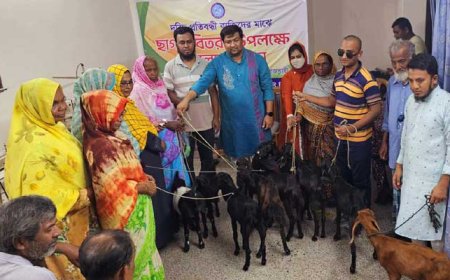 রাজশাহীতে দরিদ্র প্রতিবন্ধীদের মাঝে ছাগল বিতরণ