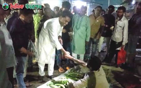 আ'লীগ সরকারের উন্নয়নচিত্র তুলে ধরে জনসংযোগে ব্যস্ত মালেক শেখ