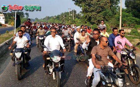 নাটোরে এড. মালেক শেখ এর পক্ষে গণজোয়ার