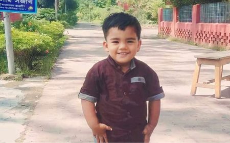 লালপুরে পুকুরের পানিতে ডুবে এক শিশুর মৃত্যু 