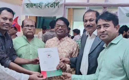 নাটোর-১ আসনে আ’লীগের ১৯ জনের মনোনয়নপত্র জমা