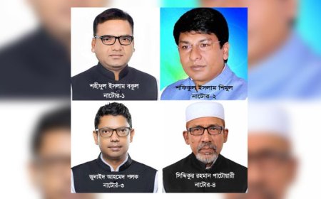 নাটোরের ৪টি আসনে পূর্বের সাংসদরাই পেলেন মনোনয়ন