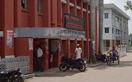 নবজাতকের মৃত্যুর পরদিন মায়ের মৃত্যু!