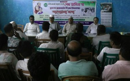 শেখ হাসিনার স্বদেশ প্রত্যাবর্তন দিবস পালন করেছে নাটোর জেলা আওয়ামী লীগ